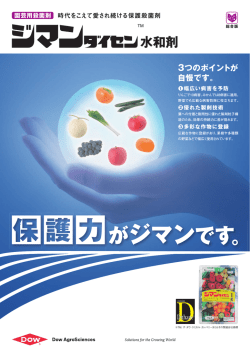 総合版 - SDS