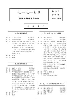 No.247 11 ～ 12 月