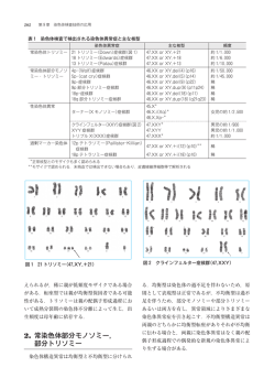 こちら（518KB）