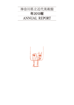 年報 2013年度（PDF/3.83MB）