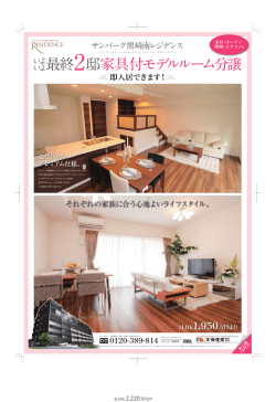 最終2邸家具付モデルルーム分譲