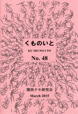 No. 48 - Not Found