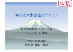 猫と犬の感染症とワクチン