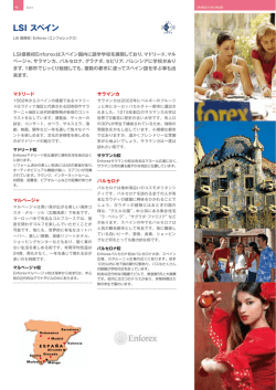 LSI スペイン校