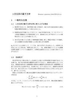 1次元系の量子力学 1 一般的な注意