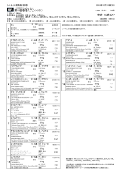 詳細版（PDF 229KB）