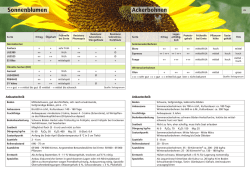 ロンシャン 財布 長財布 LONGCHAMP LE PLIAGE CUIR 3044 1 737