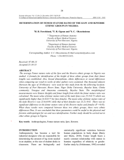 手振れ補正機能付き16倍単眼鏡 1625SR-単眼鏡 - Scientia