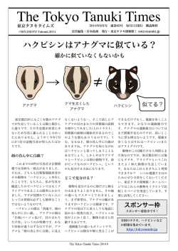 9月 ハクビシンはアナグマに似ている？