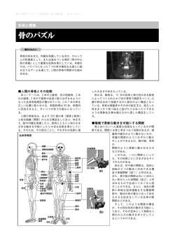 展示解説書（骨のパズル）