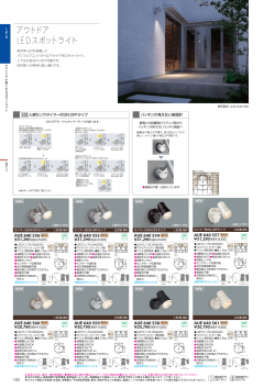 アウトドア LEDスポットライト
