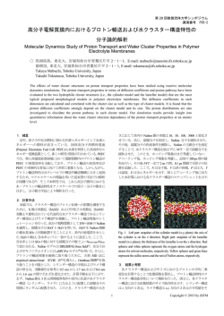 高分子電解質膜内におけるプロトン輸送および水クラスター構造特性の