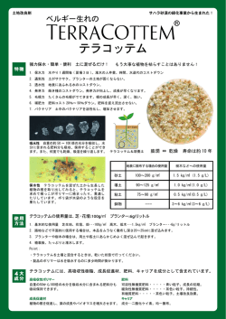 テラコッテムカタログ