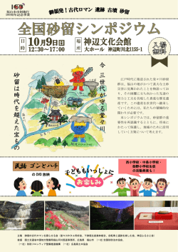 の DVD 放映