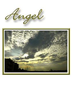 Angel (2001.7) - Green House