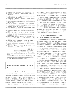 動物におけるDicer依存性小分子RNA機構