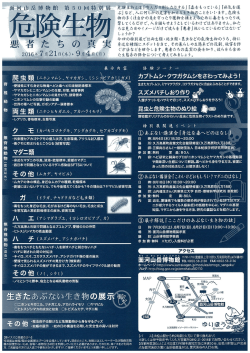 「危険生物 悪者たちの真実」チラシ裏（PDF）