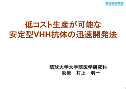発表資料