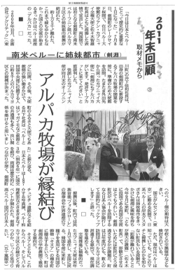 PDFファイル