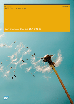 SAP Business One 9.2 の最新情報