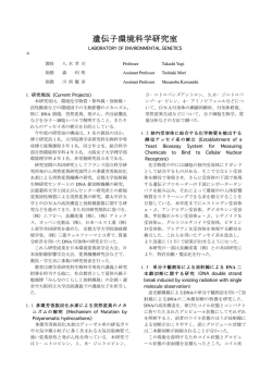 2007年度活動報告書 - 放射線研究センター