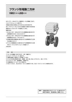 フランジ形電動二方弁 VM51＊＊JOO