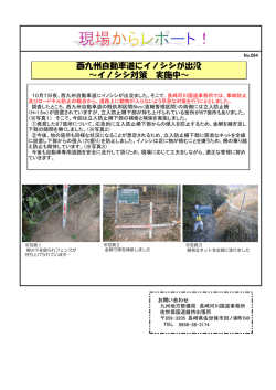 西九州自動車道にイノシシが出没 ～イノシシ対策 実施中～