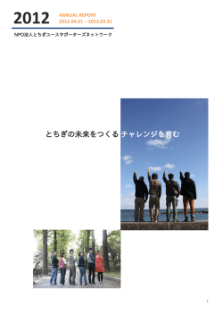 ANNUAL REPORT 2012.04.01
