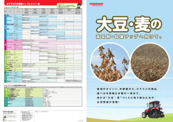 大豆・麦の収量アップへ向けて（5.6MB）