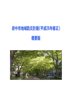 概要版（PDF：1507KB）