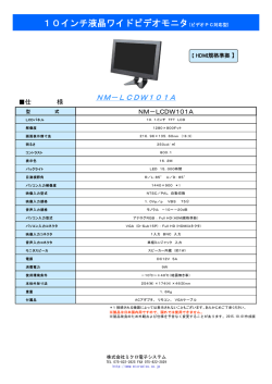 10インチ液晶ワイドビデオモニタ(ビデオPC対応型)