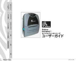 P4Tシリーズ User Manual - 株式会社CJPシステムソリューションズ