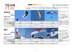 Easy, Smooth, and Simple ! TEAM FIVE