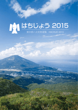 町勢要覧2015本編