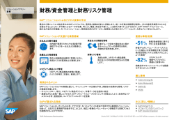 51% 財務/資金管理と財務リスク管理 -82%