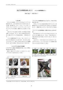おどろき発見を楽しもう！ &sim;チョウの飼育観察から&sim;