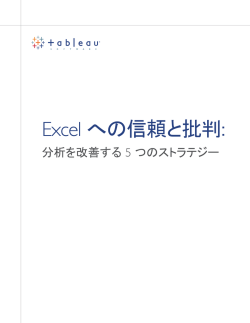 Excel への信頼と批判