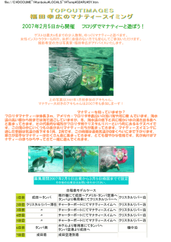 2007年2月5日から開催 フロリダでマナティーと遊ぼう！