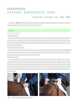 子馬の管理方法 ∼初期育成調教の方法 その3