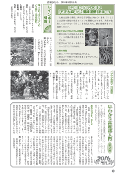 18ページ [295KB pdfファイル]