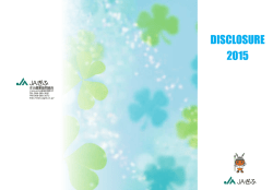 ディスクロージャー 2015（PDF）