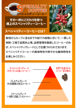 その一杯にこだわりを持つ 極上のスペシャリティーコーヒー スペシャリ
