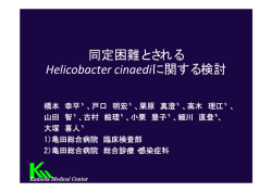 同定困難とされる Helicobacter cinaediに関する検討