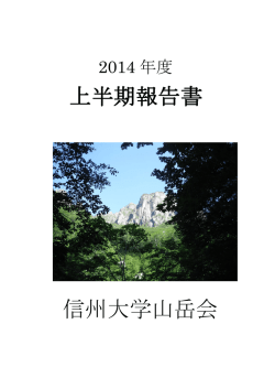 2014年度年間報告書