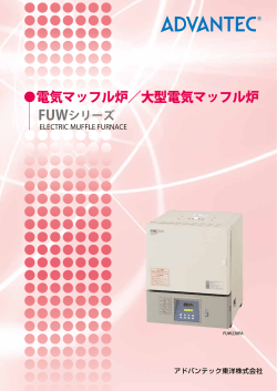 電気マッフル炉／大型電気マッフル炉 FUWシリーズ
