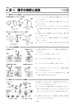 種子の発芽と成長