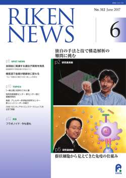 樹状細胞から見えてきた免疫の仕組み - 理化学研究所 統合生命医科学