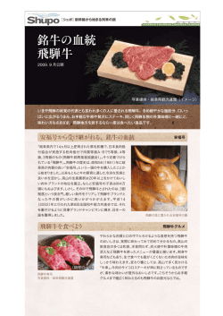 銘牛の血統 飛騨牛