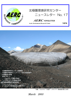 No.17（2003年3月発行）