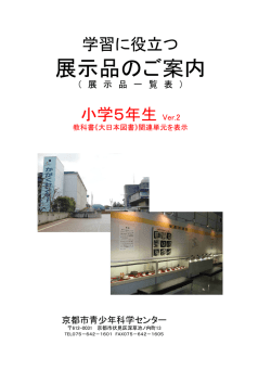 PDF形式